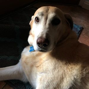 Meet your Posher, Cathy